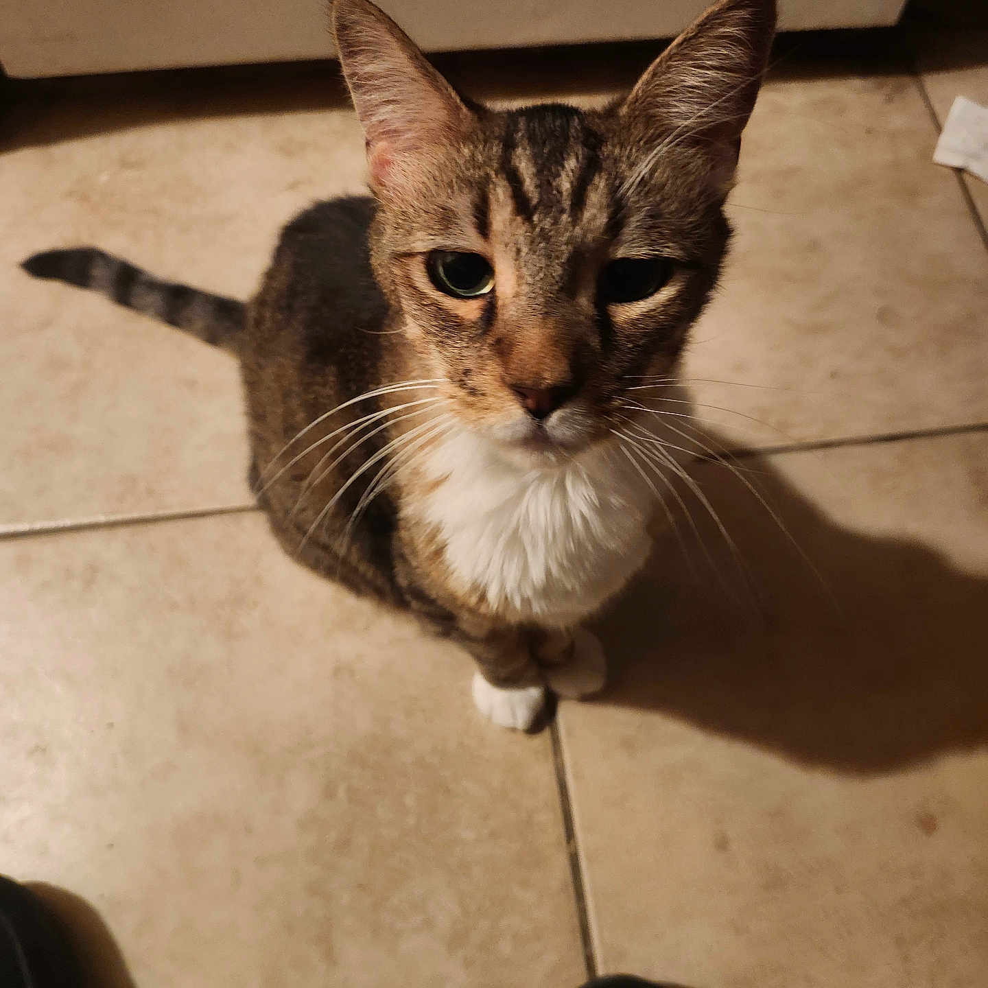 Charlie