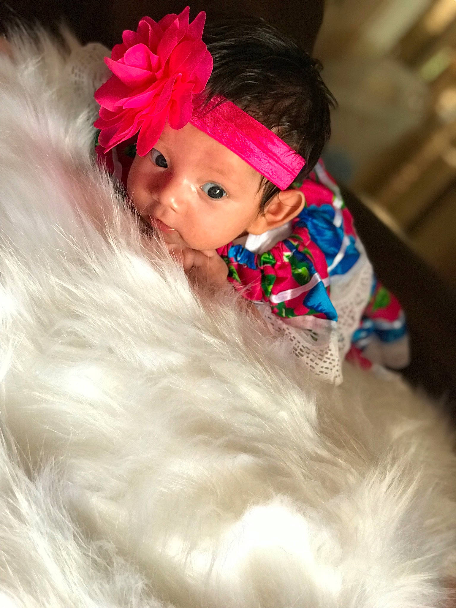 Araceli is registered to the contest to win money with this photo: cheek, child, costume, doll, fashion_accessory, fur, hair, hair_accessory, hair_coloring, head, headpiece, iris, long_hair, person, pink, skin, toy, wig