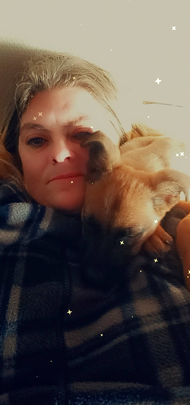 Angel participe au concours pour gagner de l'argent avec cette photo : blond, brown_hair, carnivore, companion_dog, dog, dog_breed, ear, eye, eyebrow, eyelash, eyewear, fawn, flash_photography, happy, head, lip, long_hair, nose, selfie, skin