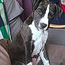 Joy participe au concours pour gagner de l'argent avec cette photo :