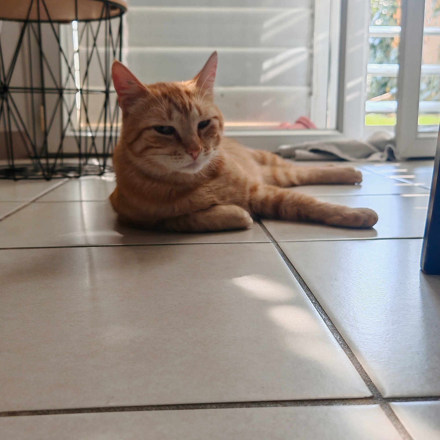 Roméo