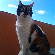 Kyara participe au concours pour gagner de l'argent avec cette photo :