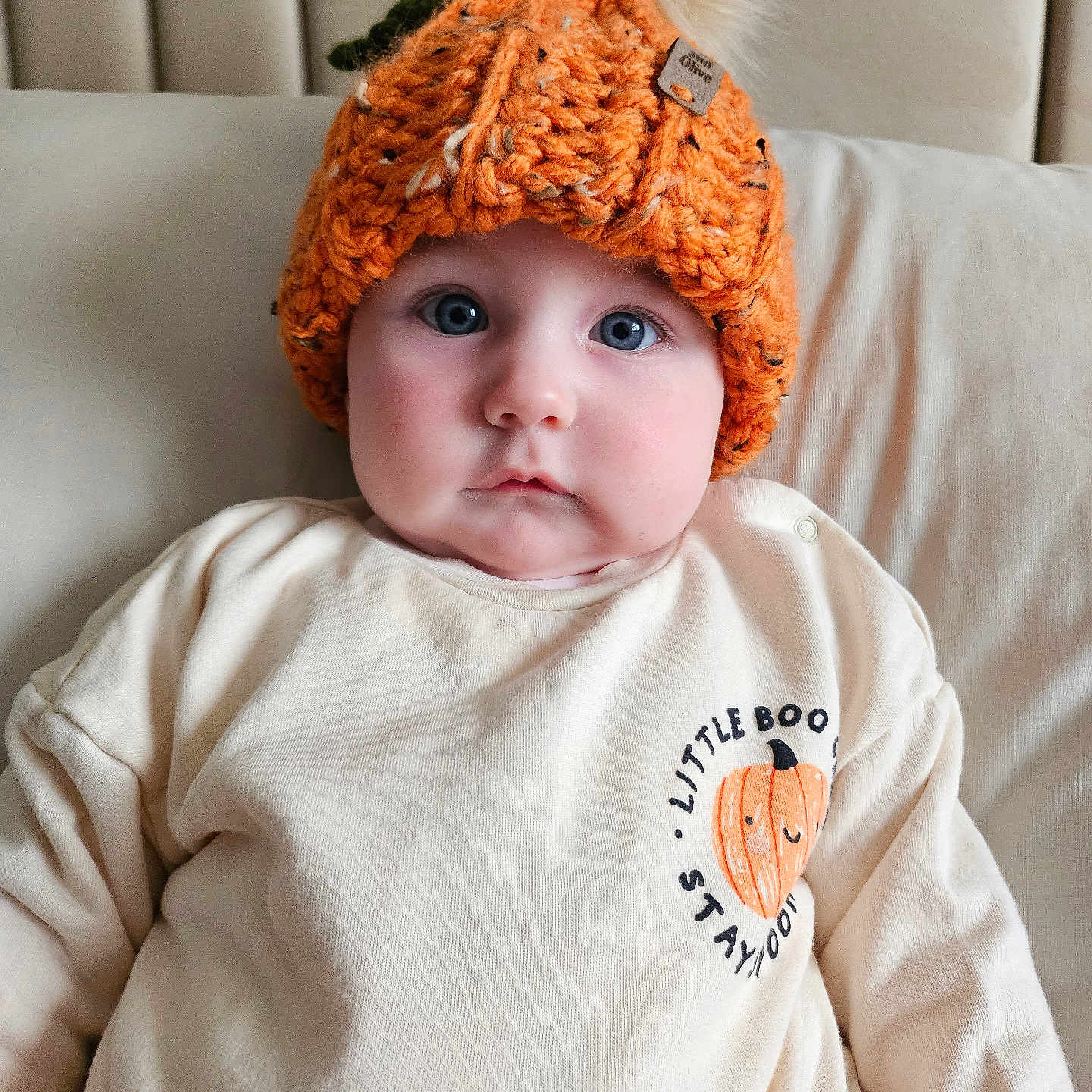 Nuala is registered to the contest to win money with this photo: baby, blue_eyes, casual_clothing, child, close_up, comfortable, couch, cozy, cute, indoors, infant, knit_hat, looking_at_camera, orange_hat, pom_pom, portrait, pumpkin_graphic, seated, soft_fabric, sweatshirt