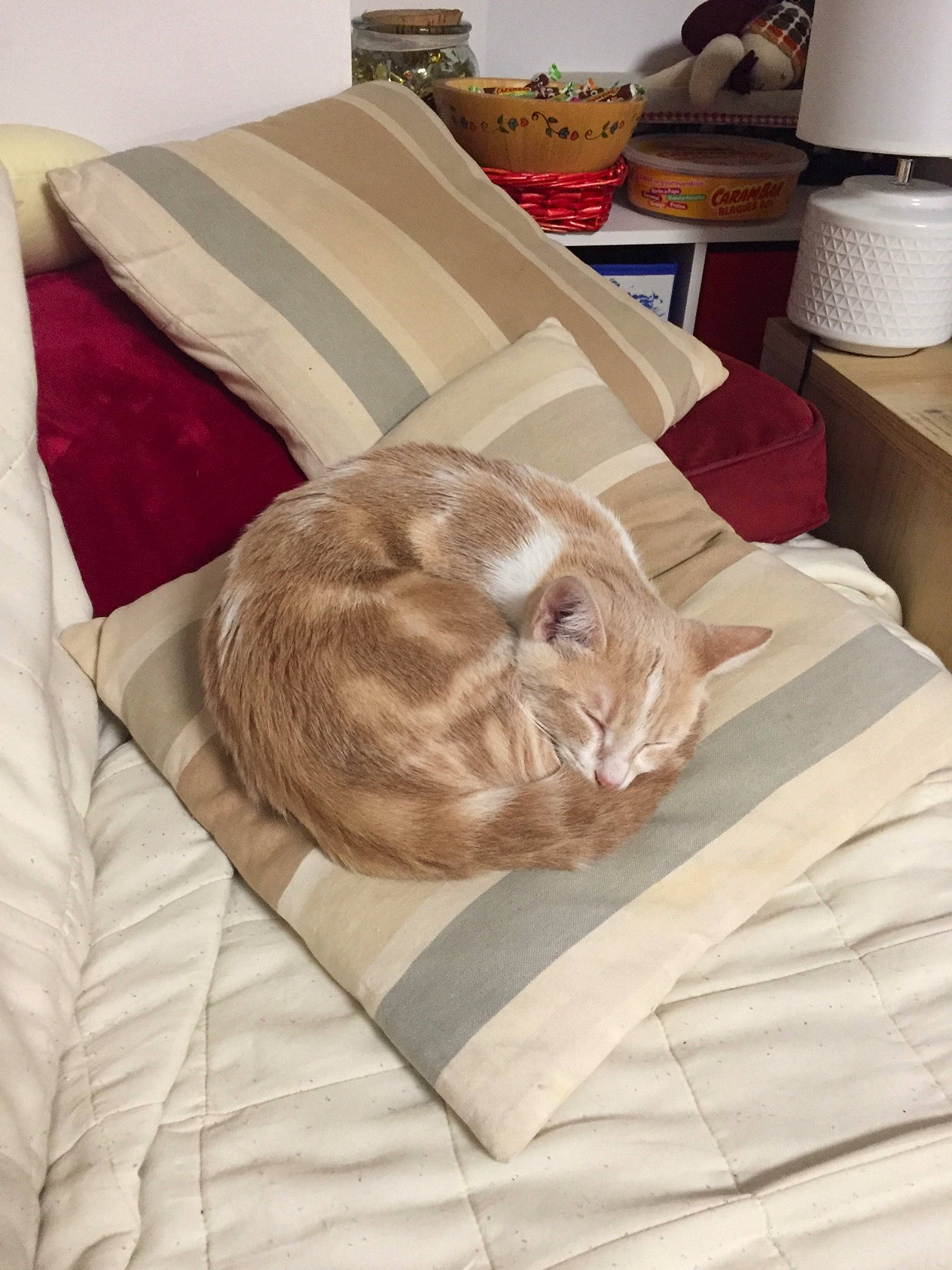 Pastel a rejoint le concours — aidez-le/la à gagner de superbes lots ! bed, bed_sheet, bedding, bedroom, beige, blanket, cat, comfort, duvet, duvet_cover, fawn, felidae, fur, furniture, linens, nap, pillow, room, small_to_medium_sized_cats, textile