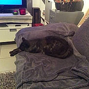 Noiro participe au concours pour gagner de l'argent avec cette photo :