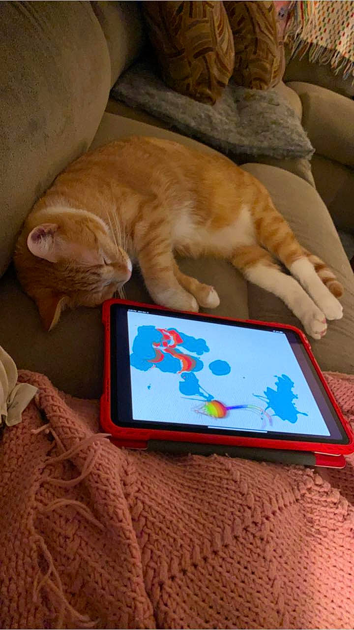 Simon joined the competition — help win amazing prizes! carnivore, cat, electronic_device, fawn, felidae, gadget, paw, play, small_to_medium_sized_cats, tail, technology, whiskers