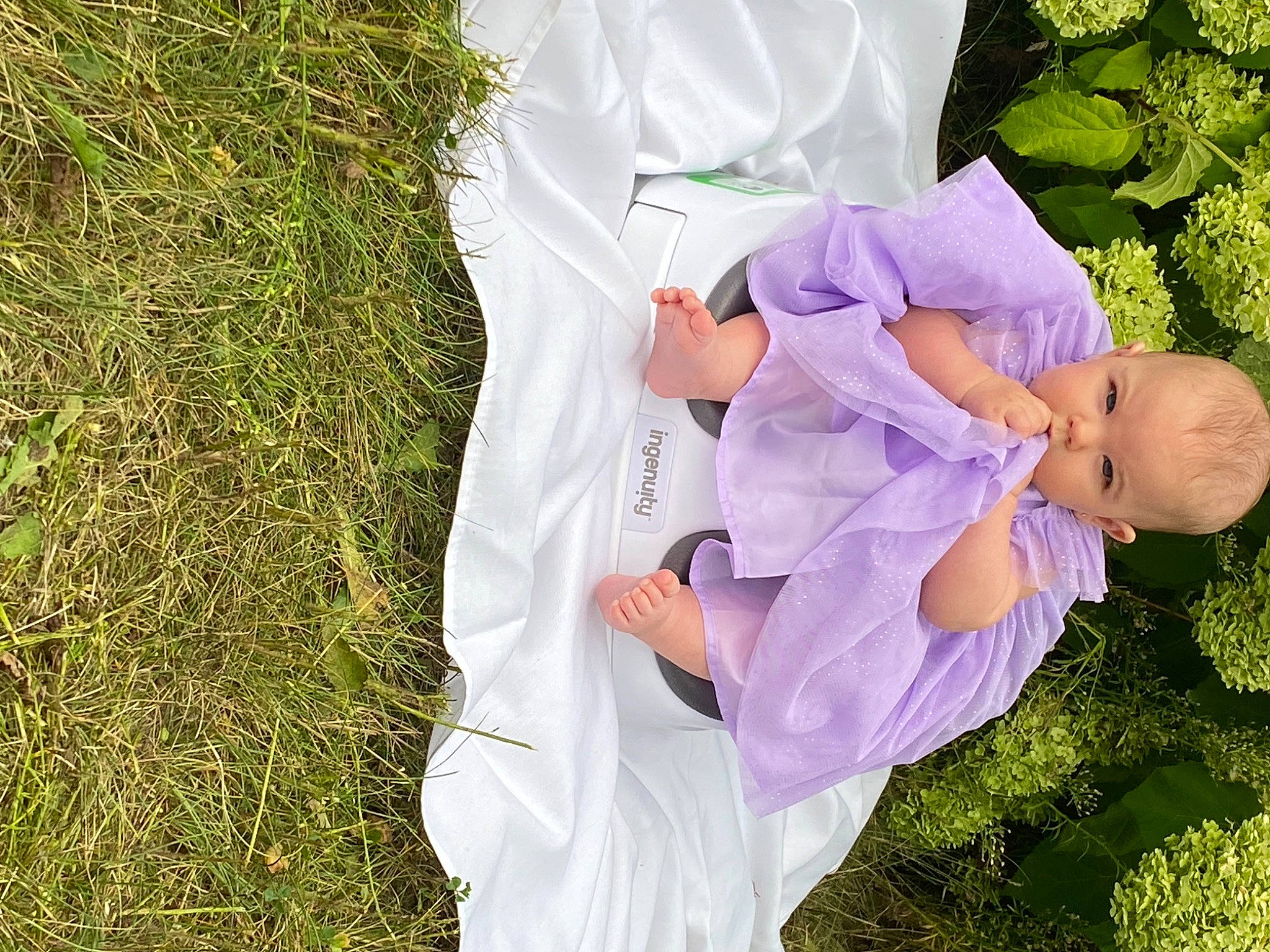 Hope-éléna Perreau participe au concours pour gagner de l'argent avec cette photo : baby, baby_toddler_clothing, child, dress, gesture, grass, grassland, hand, happy, hat, love, people_in_nature, person, petal, plant, purple, sitting, sleeve, spring, thumb