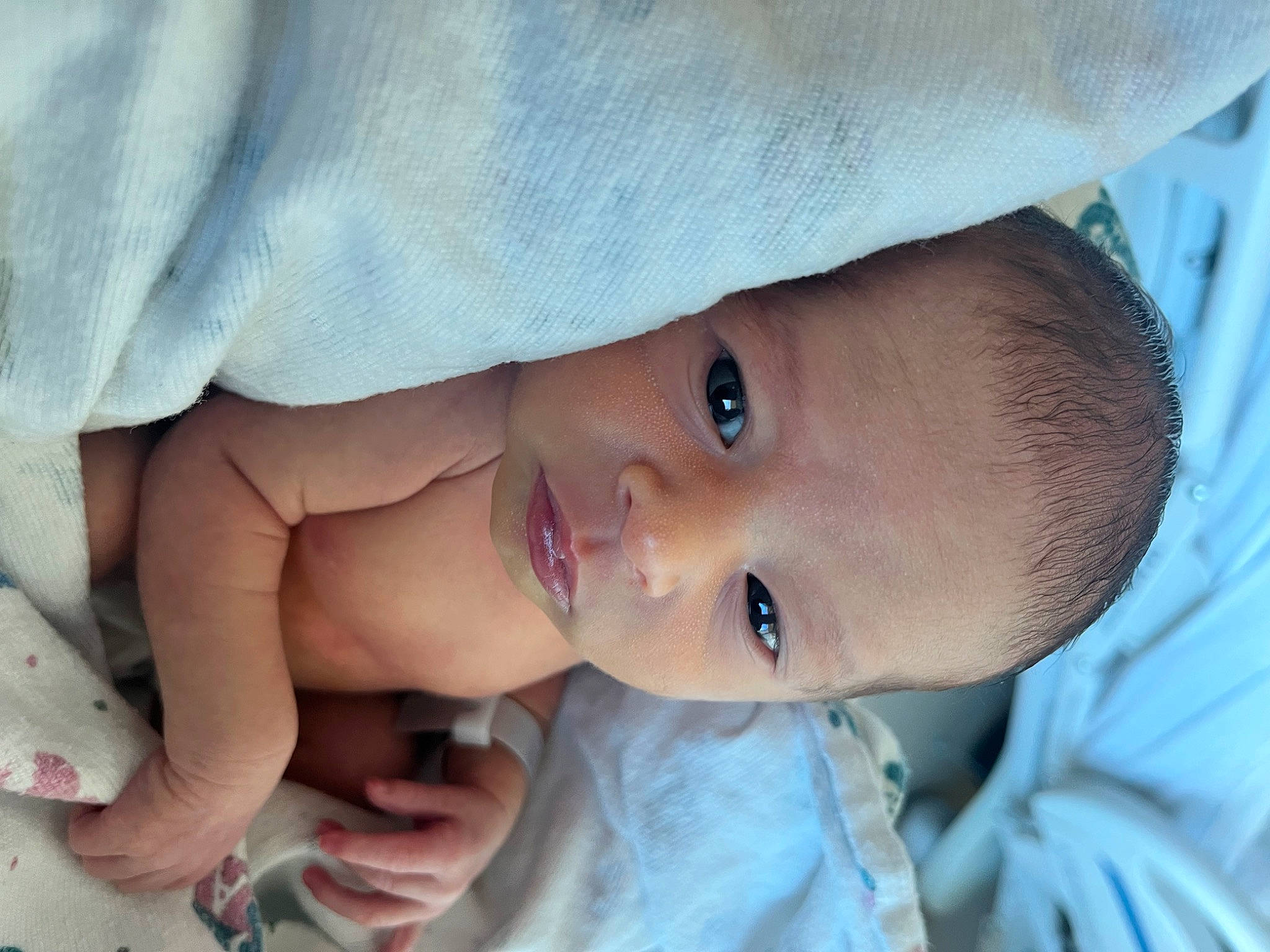 Alyse joined the competition — help win amazing prizes! baby, baby_toddler_clothing, cheek, child, eyebrow, eyelash, face, finger, gesture, hand, happy, iris, lip, nose, person, skin, sleeve, smile, toddler, tree