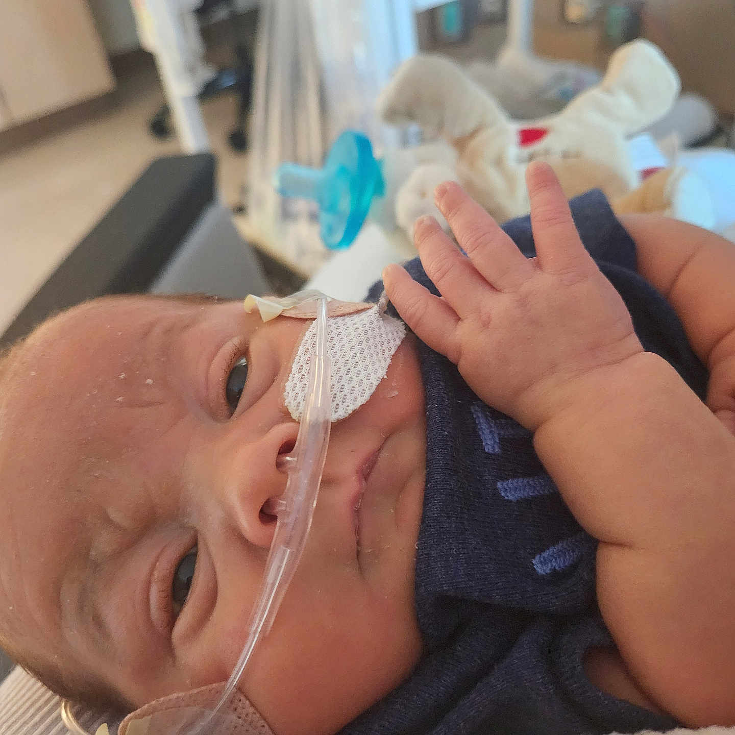 Jackson joined the competition — help win amazing prizes! newborn, baby, hospital, medical_tube, nasal_cannula, infant, closeup, healthcare, patient, child, medical_tape, soft_toy, bed, clothing, person, skin, hand, face, resting, indoors