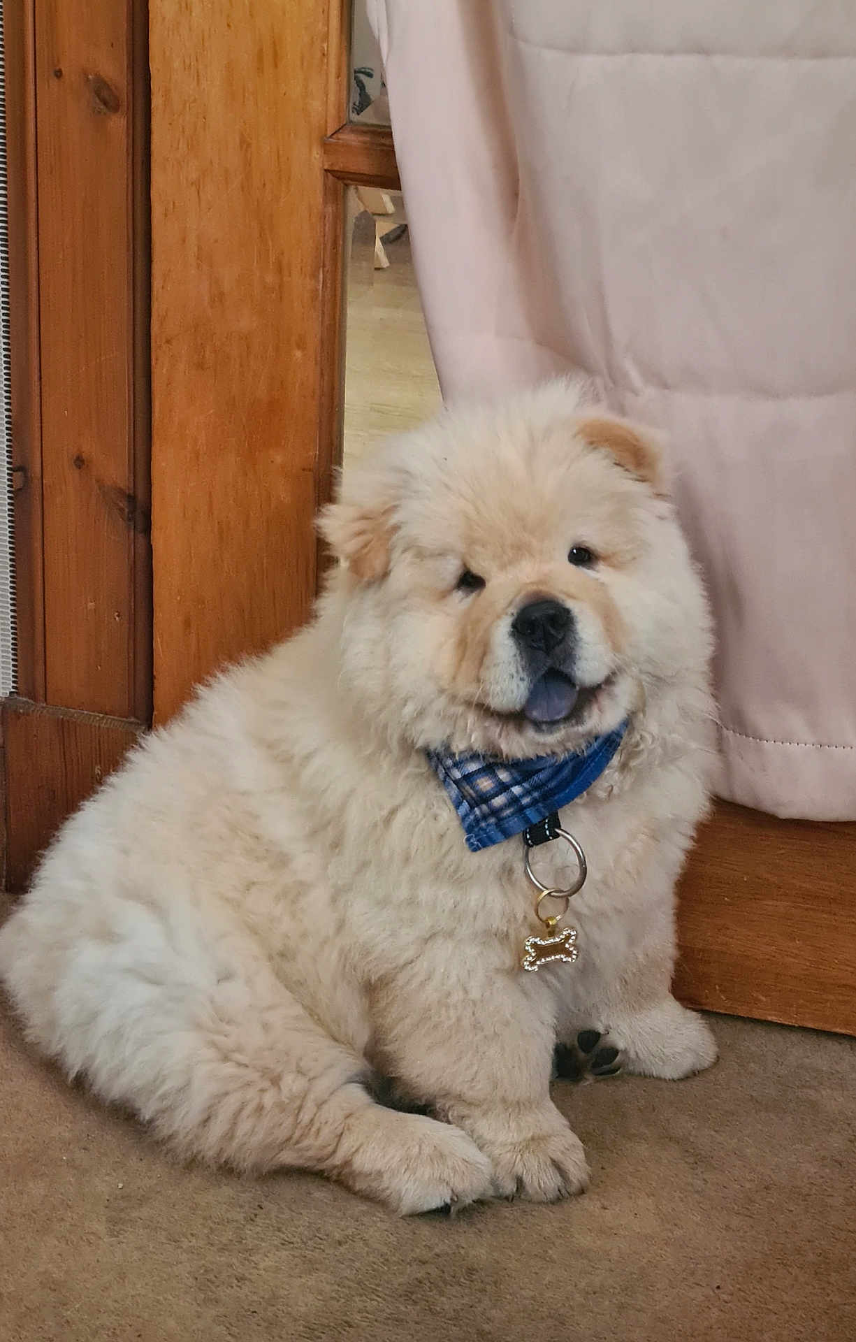 Oakley