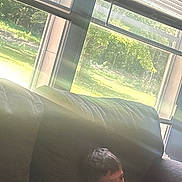 Braxton is registered to the contest to win money with this photo: background, blinds, boy, casual, child, couch, daylight, furniture, greenery, home, indoor, leisure, natural_light, portrait, relaxing, shirtless, sitting, sunlight, window, young