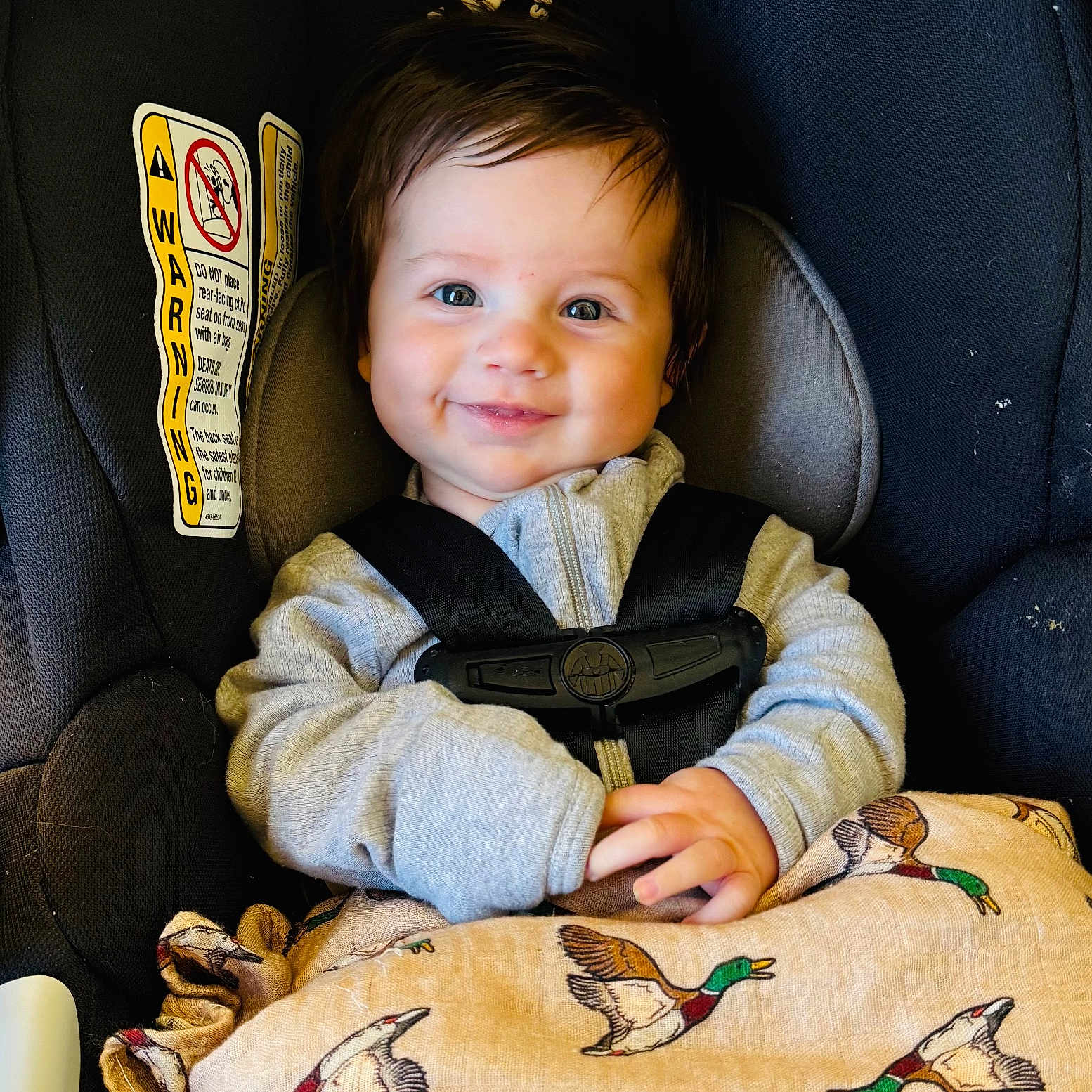 Waylon is registered to the contest to win money with this photo: animal, baby, bird, bodypart, clothing, coat, cushion, face, finger, hand, happy, head, homedecor, jacket, pants, person, photography, portrait, sitting, smile