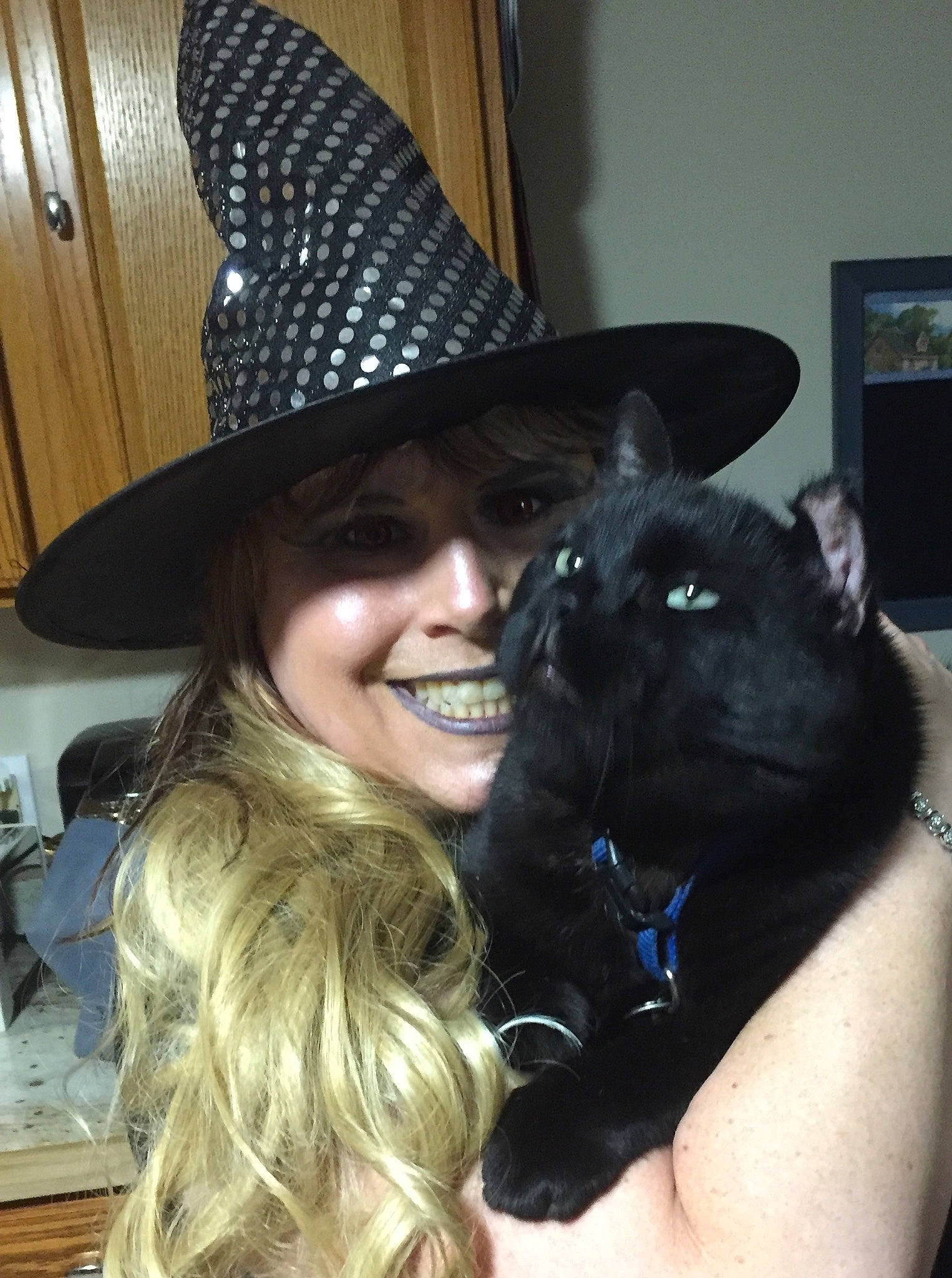 Shadow is registered to the contest to win money with this photo: black_hair, carnivore, dog_breed, fashion_accessory, felidae, formal_wear, fun, fur, gesture, happy, hat, headgear, jaw, picture_frame, purple, small_to_medium_sized_cats, smile, sun_hat, whiskers, witch_hat