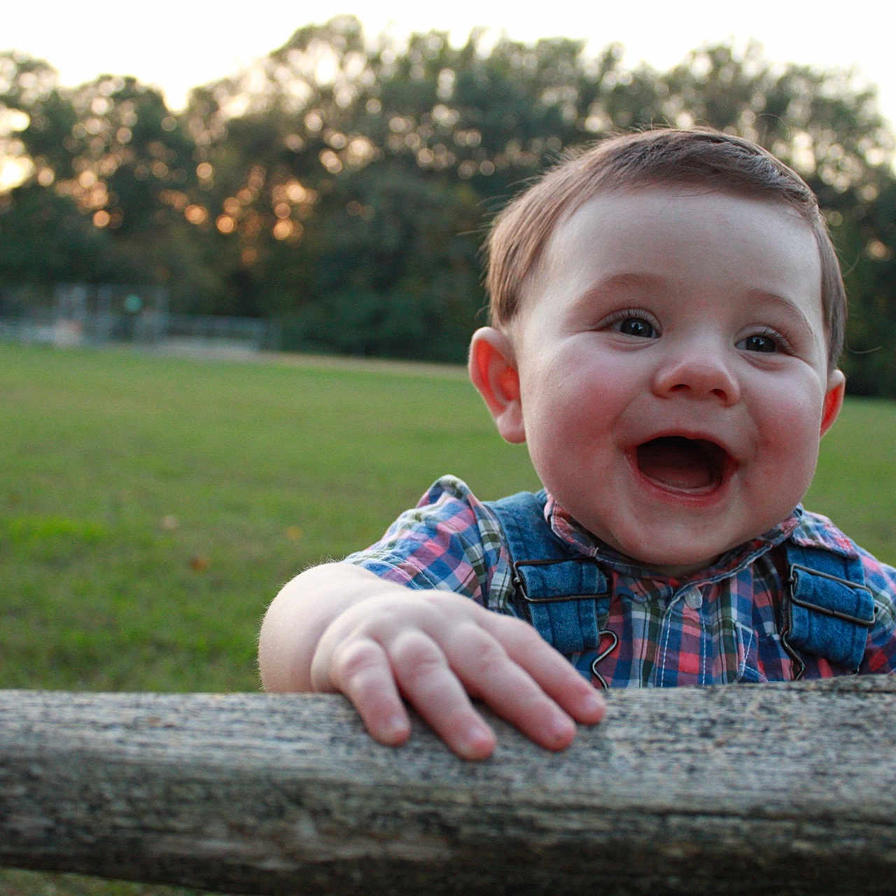 Winston is registered to the contest to win money with this photo: baby, child, smiling, happy, outdoor, park, grass, trees, sunset, portrait, face, eyes, mouth, hands, wood, log, plaid_shirt, overalls, baby_boy, nature