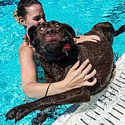 Gigi is registered to the contest to win money with this photo: woman, dog, pool, water, swimming, chocolate_labrador, pet, animal, summer, fun, playful, wet, sidewalk, outdoor, happy, expression, holding, recreation, daylight, funny_face