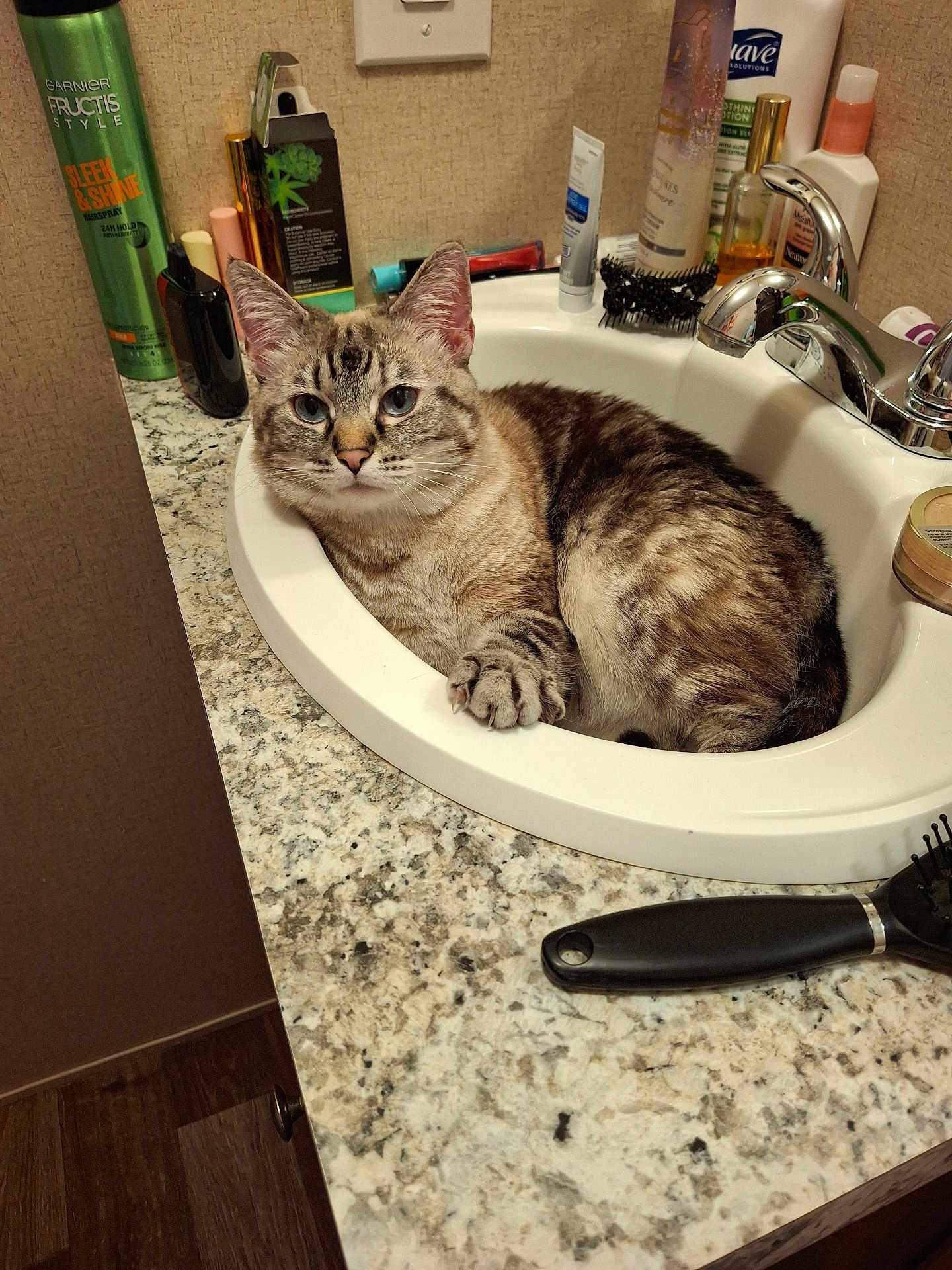 Cleo