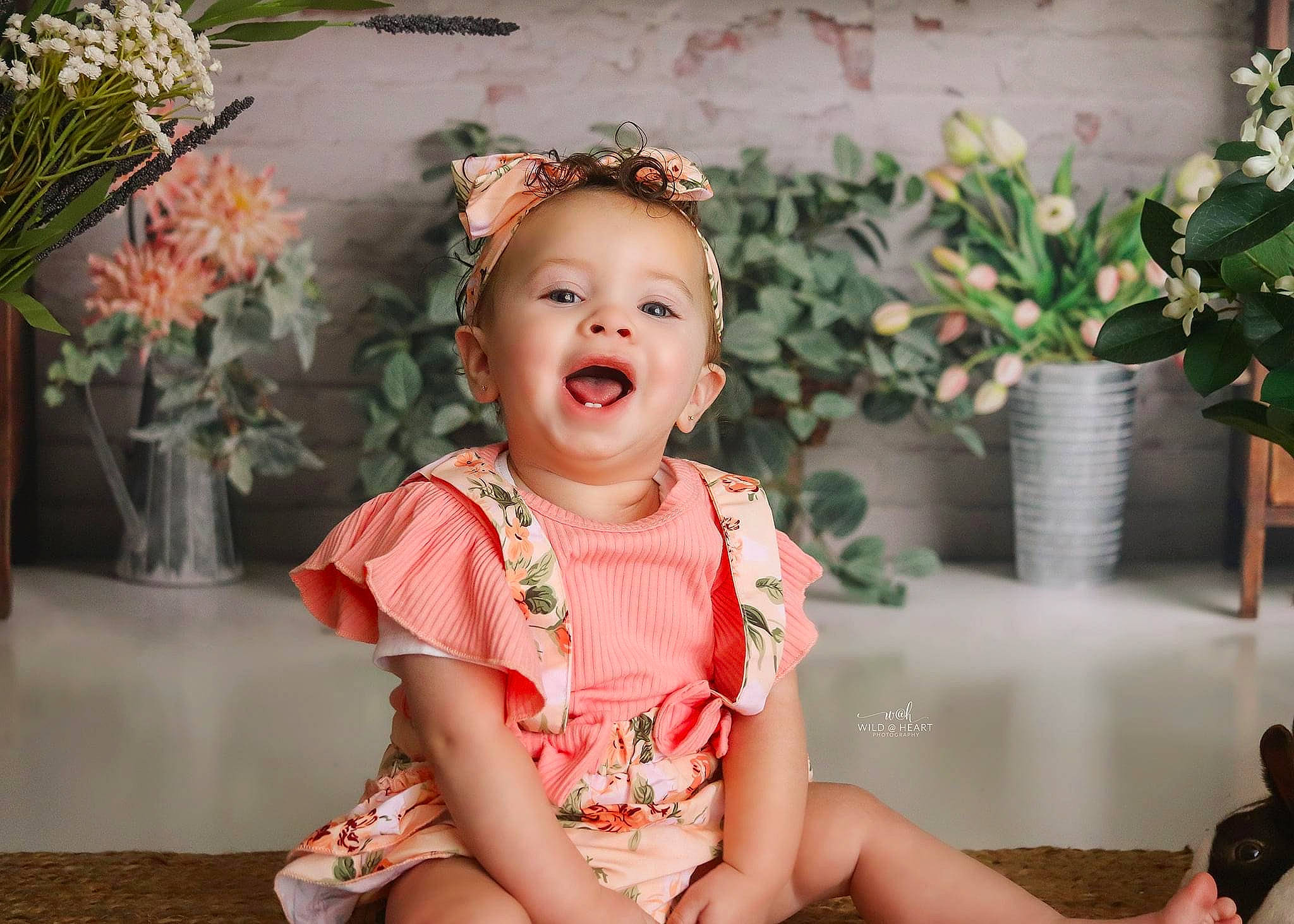 Niylah joined the competition — help win amazing prizes! baby_toddler_clothing, beauty, child, dress, facial_expression, flash_photography, flower, flowerpot, fun, grass, happy, houseplant, iris, person, pink, plant, skin, smile, summer, toddler