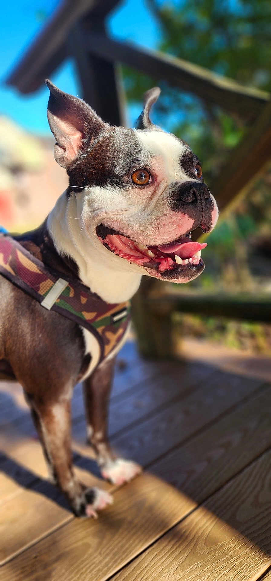 Logan