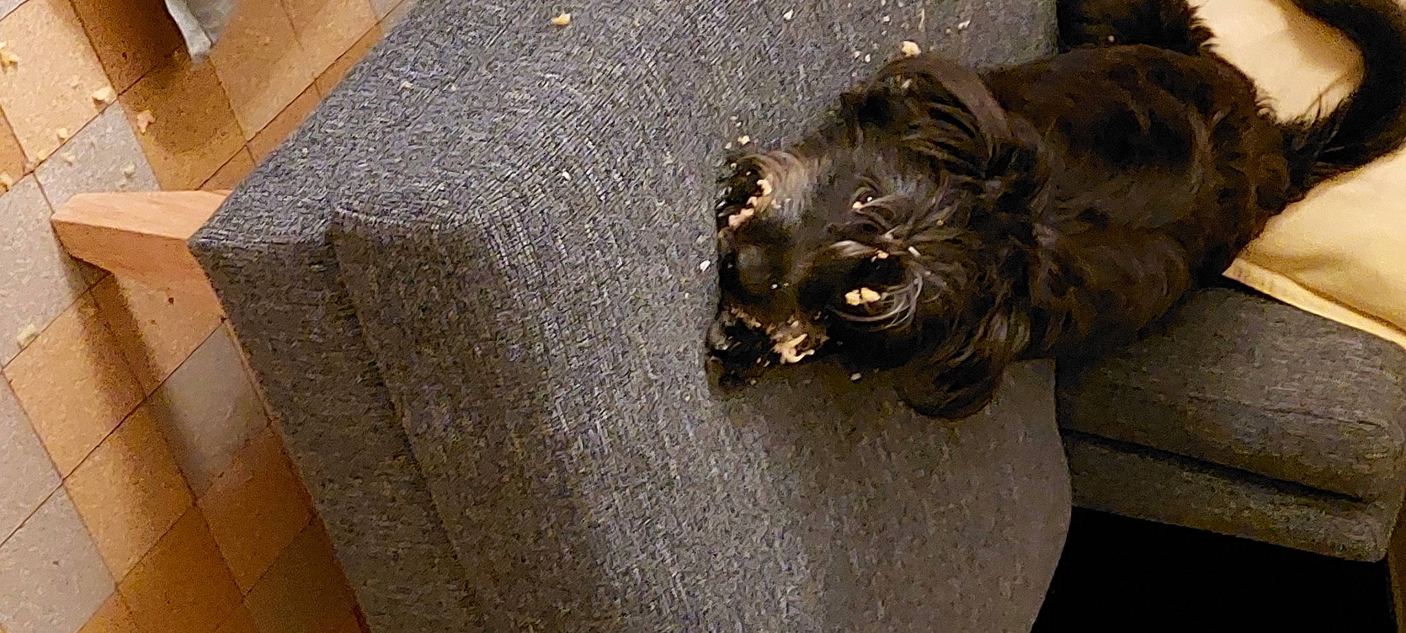 Spirit a rejoint le concours — aidez-le/la à gagner de superbes lots ! art, artifact, big_cats, carnivore, dog_breed, felidae, flooring, fur, lion, liver, metal, sculpture, small_to_medium_sized_cats, snout, sporting_group, statue, tail, terrestrial_animal, wood, working_animal