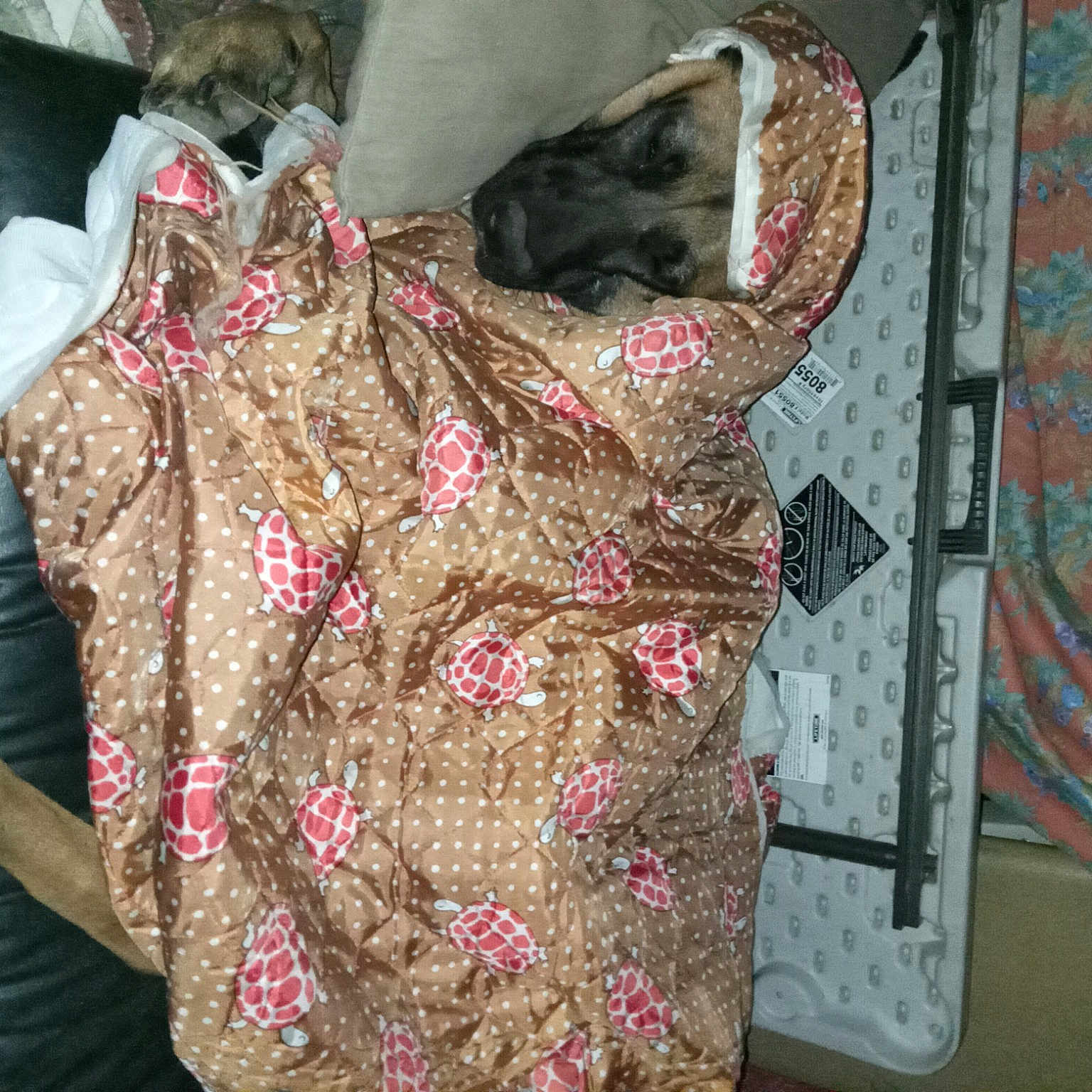 Mimzie