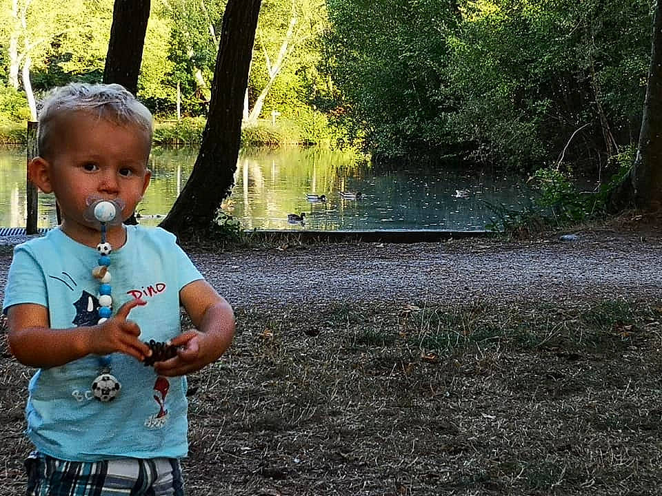 Timothy participe au concours pour gagner de l'argent avec cette photo : child, forest, fun, girl, grass, green, leaf, male, mammal, nature, person, plant, play, recreation, toddler, tree, vacation, vertebrate, water, woody_plant