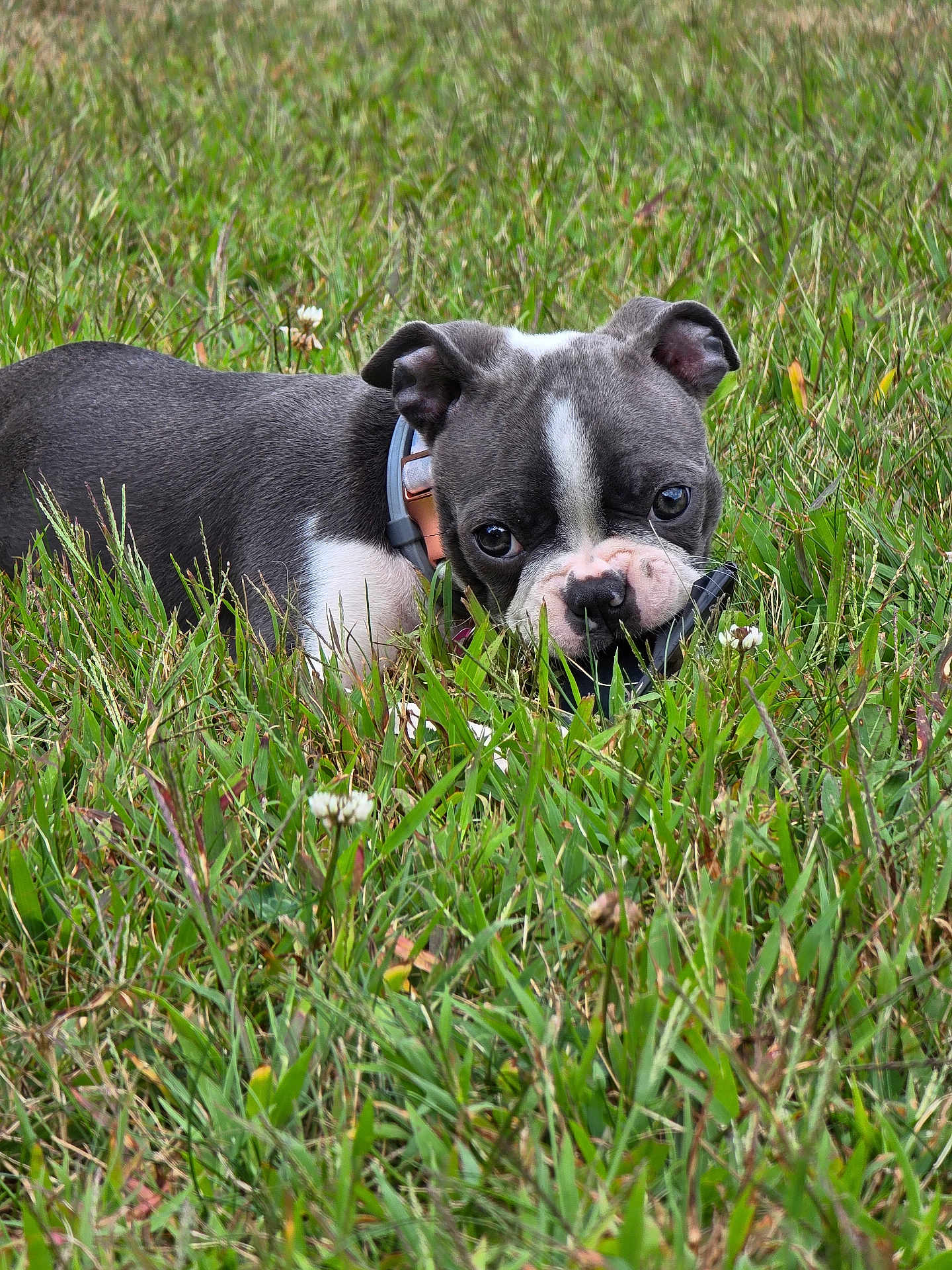 Lucy