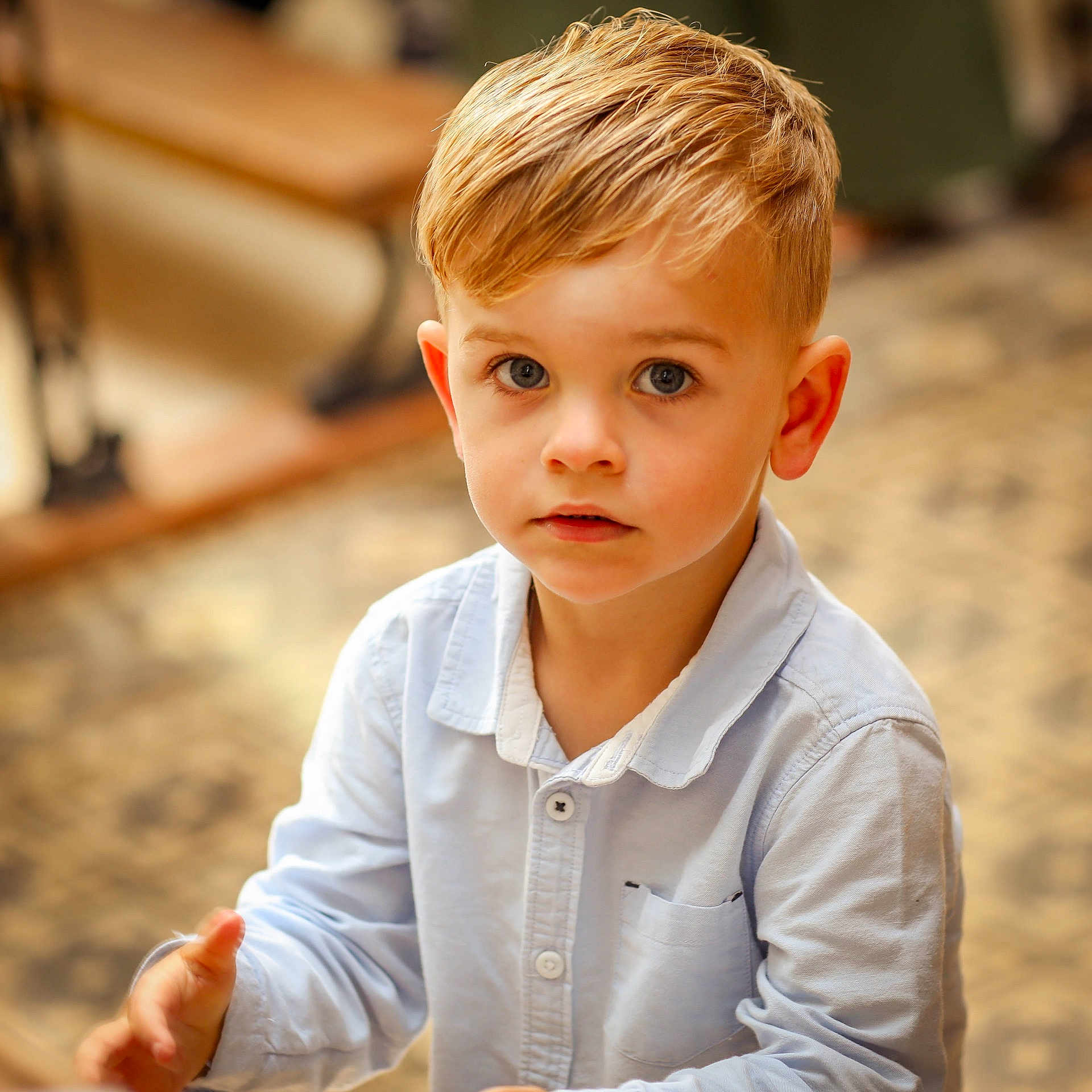 Nathan a rejoint le concours — aidez-le/la à gagner de superbes lots ! blonde_hair, blue_eyes, boy, button_up, casual, child, childhood, closeup, curious, cute, expression, face, fashion, human, indoor, innocent, person, portrait, shirt, young