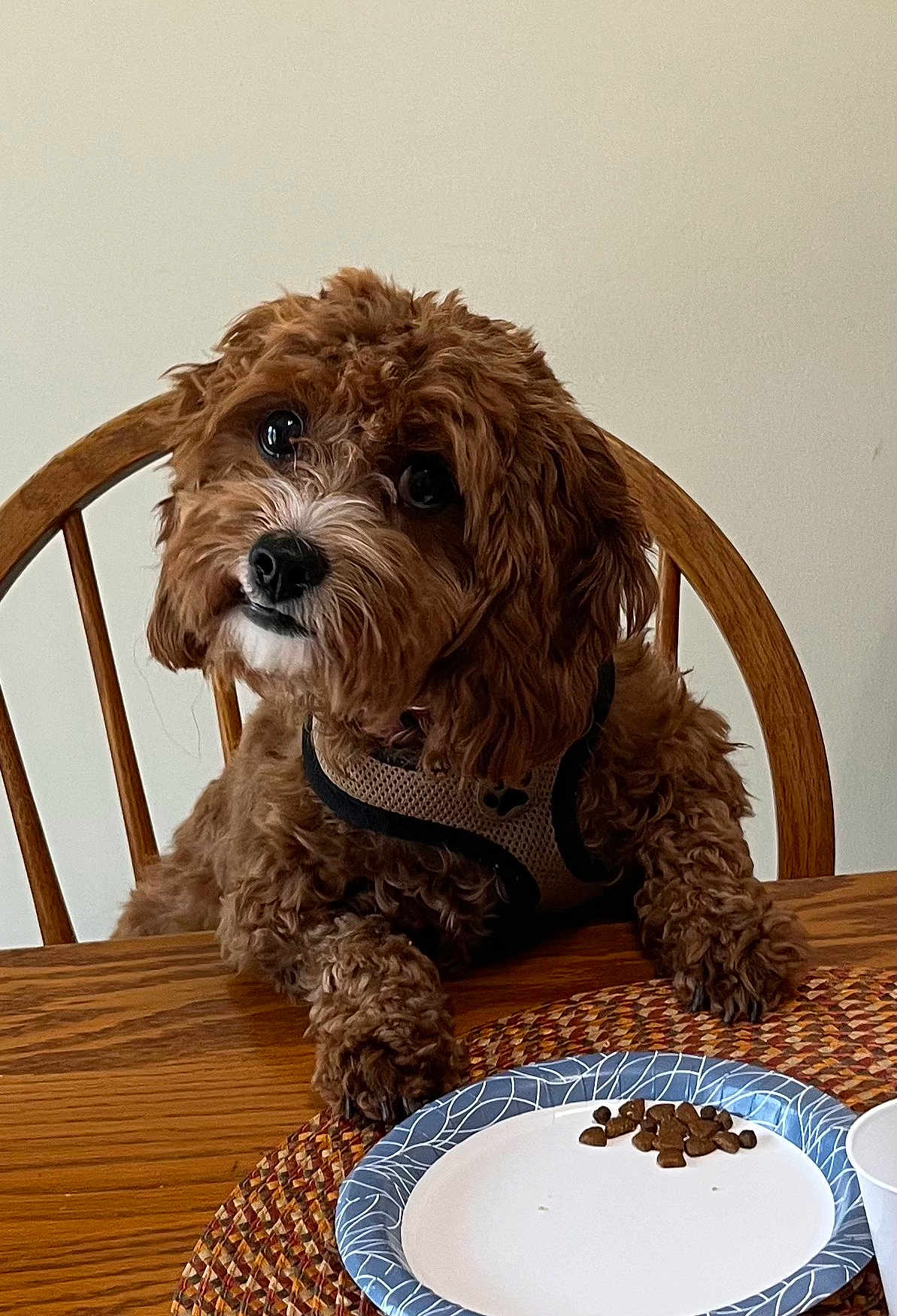 Coco