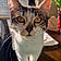 Cleo