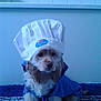Ilona participe au concours pour gagner de l'argent avec cette photo :