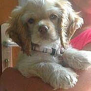 Ilona participe au concours pour gagner de l'argent avec cette photo :