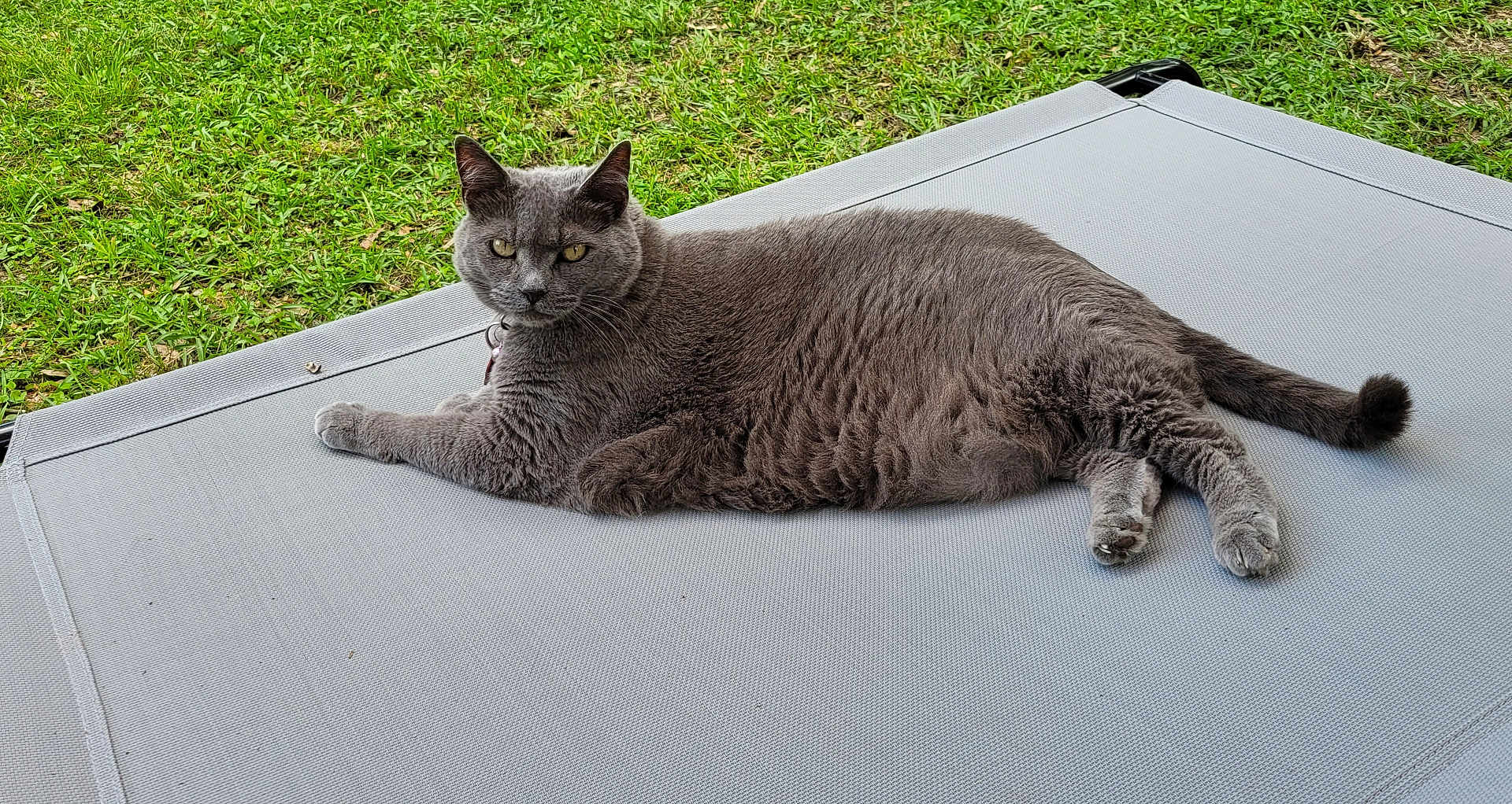 Stormie