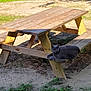 cat, gray_cat, picnic_table, wooden_bench, outdoor, sunlight, shade, grass, dirt, nature, animal, pet, resting, relaxed, daytime, quiet, peaceful, bench, wood, ground