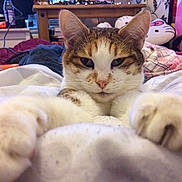 Shay is registered to the contest to win money with this photo: