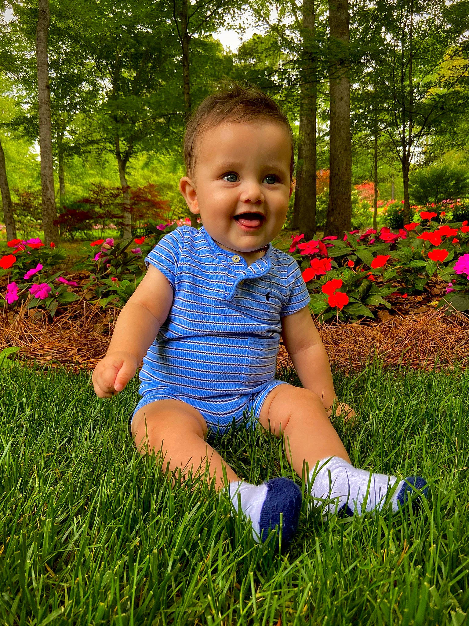 Rey joined the competition — help win amazing prizes! baby, baby_toddler_clothing, child, electric_blue, flower, fun, grass, grass_family, grassland, green, groundcover, happy, joy, leisure, meadow, people_in_nature, person, plant, smile, sunlight