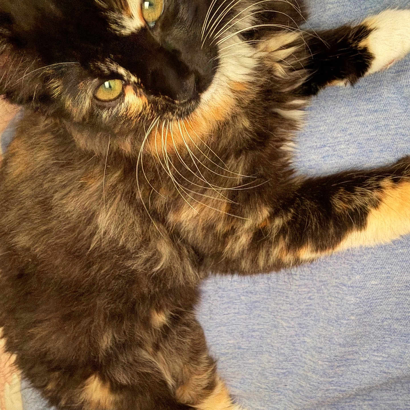 Binx
