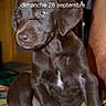 Helix participe au concours pour gagner de l'argent avec cette photo :