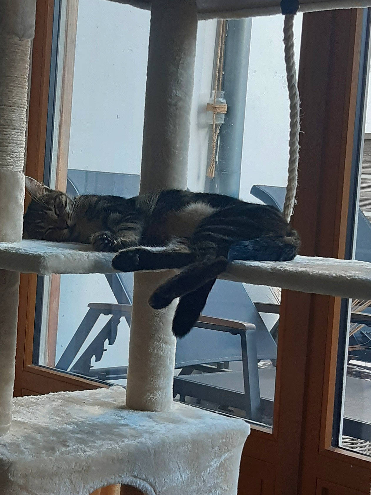 Iris participe au concours pour gagner de l'argent avec cette photo : beam, chair, curtain, daylighting, fixture, gas, glass, hardwood, metal, natural_material, room, sash_window, shade, twig, window, window_treatment, winter, wood