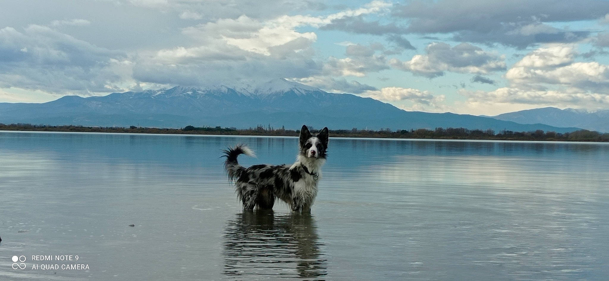 Neven participe au concours pour gagner de l'argent avec cette photo : bank, carnivore, cloud, cumulus, dog, dog_breed, highland, hill, lake, loch, meteorological_phenomenon, mountain_range, nature, reflection, reservoir, ridge, sporting_group, water, water_resources, working_animal