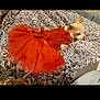 accessory, animal_clothing, bed, blanket, chihuahua, comfort, cozy, cute, dog, fashion, fur, indoor, orange_dress, pet, relaxed, resting, small_dog, soft_texture, tutu, warm