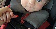 Noah is registered to the contest to win money with this photo: baby, car_seat, child, infant, seatbelt, safety, hand, grip, blue_eyes, curious, cute, red_clothing, straps, seat, portrait, close_up, child_seat, hair, skin, indoor