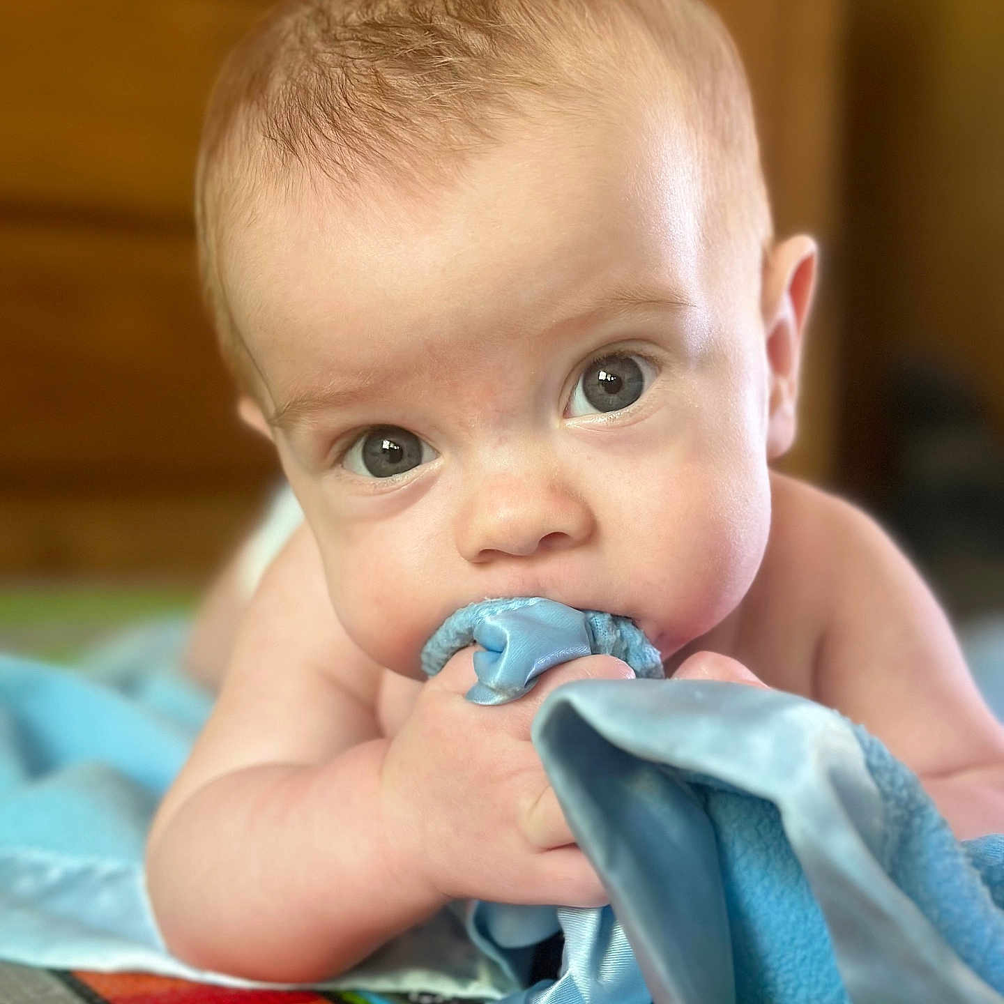 Arkeo joined the competition — help win amazing prizes! baby, biting, blanket, bodypart, clothing, couch, face, finger, furniture, hand, happy, head, newborn, pants, person, photography, portrait, quilt, sitting, towel