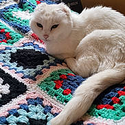 Kika participe au concours pour gagner de l'argent avec cette photo : animal, background, cat, colorful_blanket, cozy, crocheted_blanket, cute, electronics_box, furry, home, indoor, knitted, pet, relaxed, resting, soft, tail, unimpressed, white_cat, xbox_one