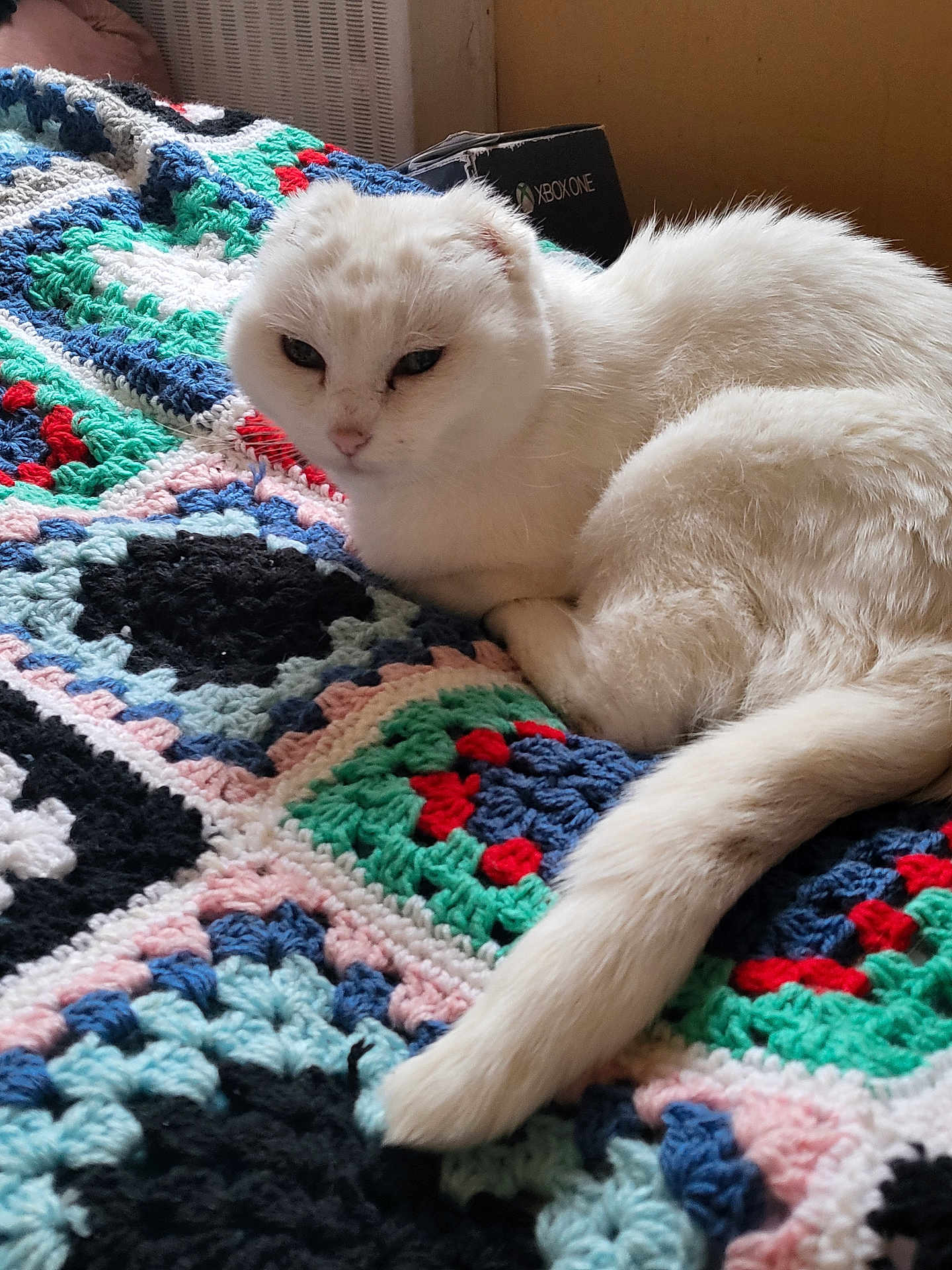 Kika
