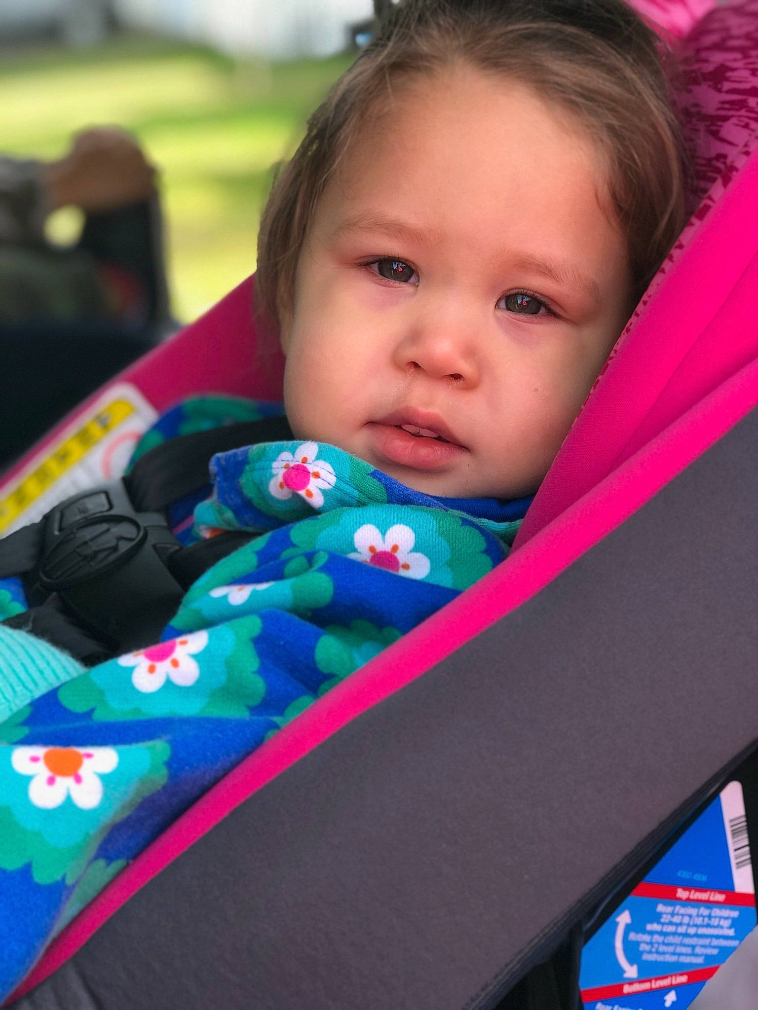 Evalyn is registered to the contest to win money with this photo: baby, baby_carriage, baby_products, cheek, child, eye, iris, person, product, skin, toddler