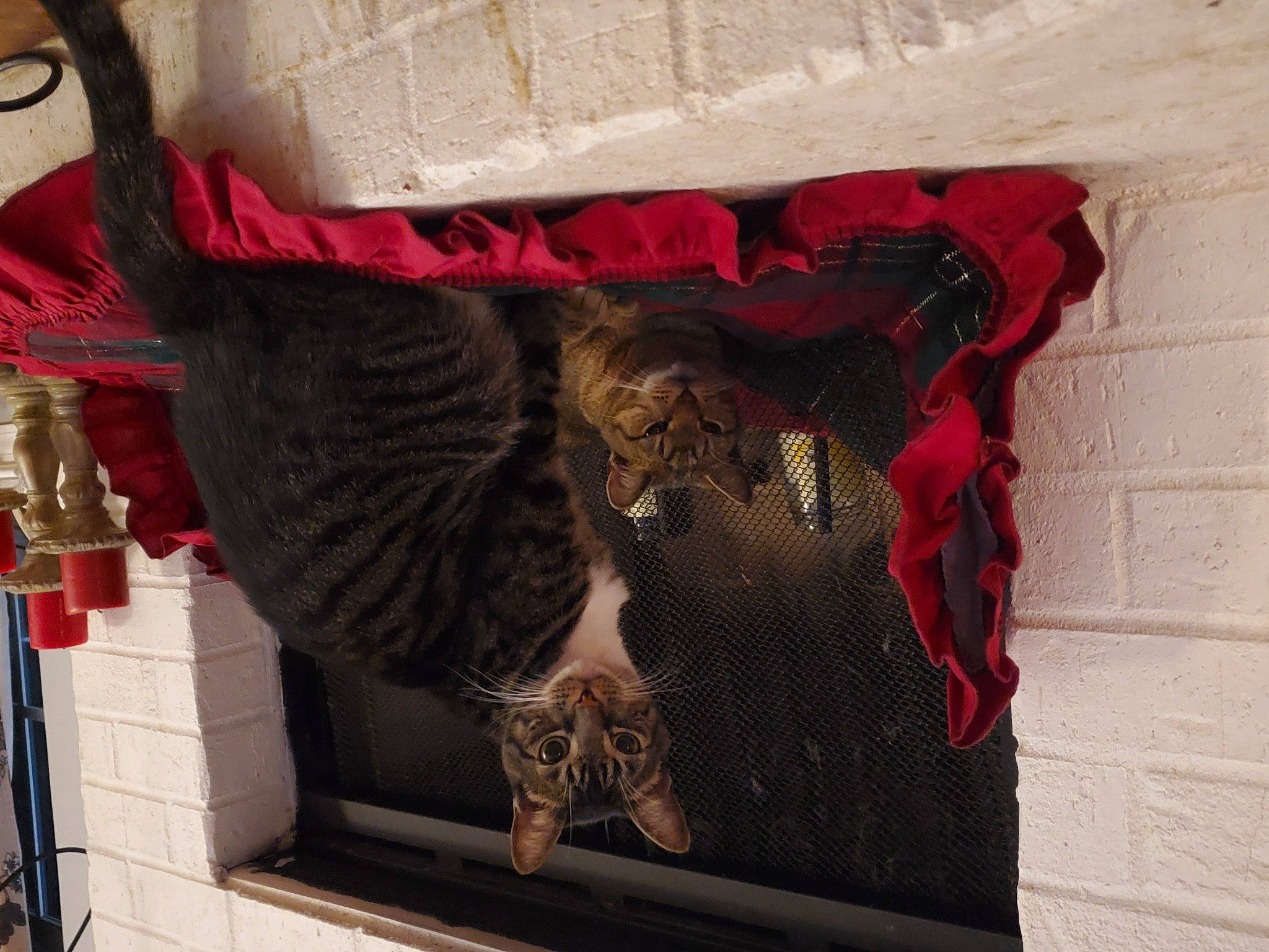 Rebecca is registered to the contest to win money with this photo: art, brick, carmine, fur, linens, magenta, natural_material, pattern, rectangle, room, shawl, sleeve, textile, tints_and_shades, visual_arts, window, wood