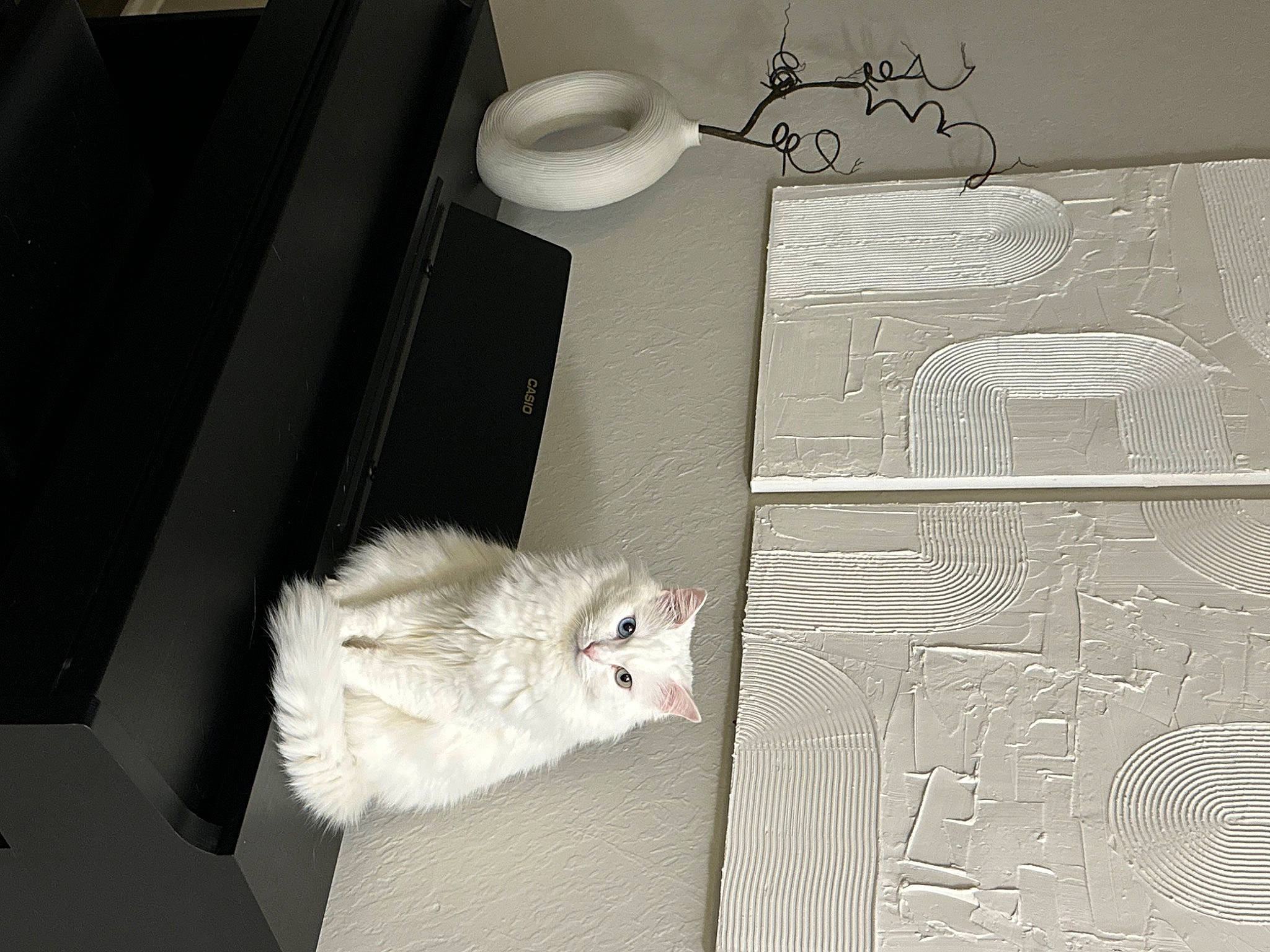 Snowy joined the competition — help win amazing prizes! carnivore, cat, circle, computer_keyboard, felidae, font, fur, grey, handwriting, linens, monochrome, monochrome_photography, paper, paper_product, pattern, room, small_to_medium_sized_cats, tail, whiskers, wood