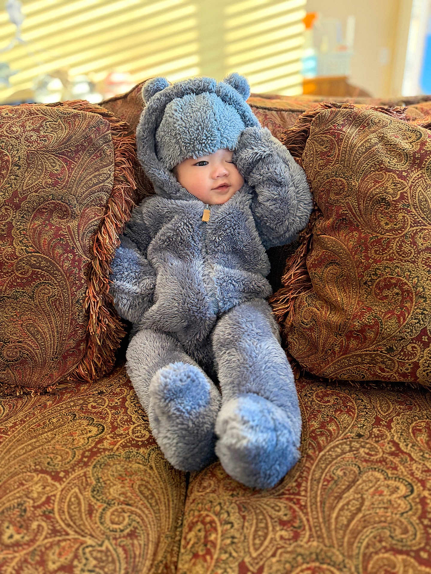 Zeke is registered to the contest to win money with this photo: baby, child, infant, teddy_bear_suit, fuzzy_onesie, hood, couch, sofa, decorative_pillow, paisley_pattern, plush, cozy, indoor, sunlight, portrait, smile, hand, legs, soft_texture, living_room