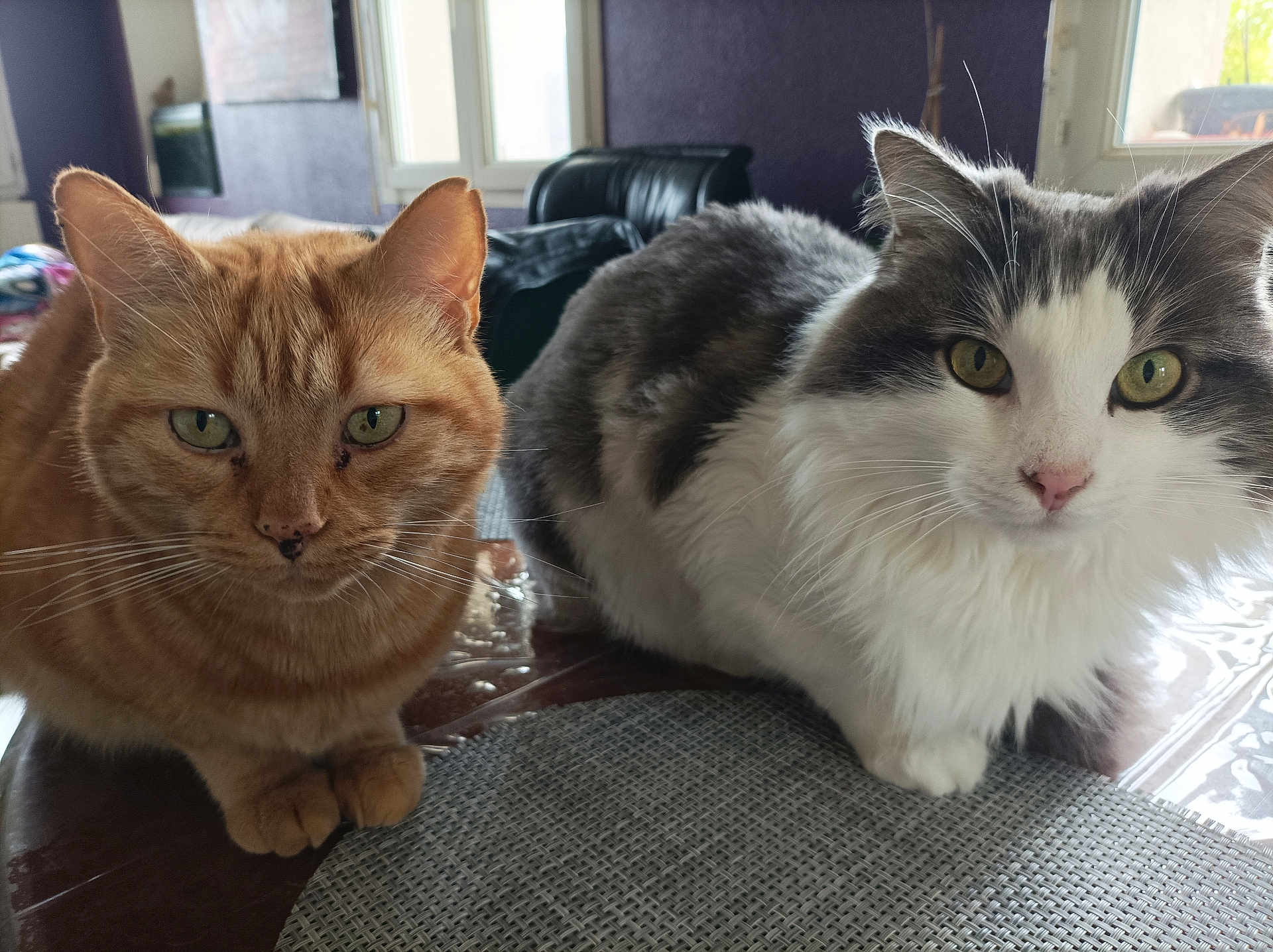 Emilie Ali Ben Ahmed