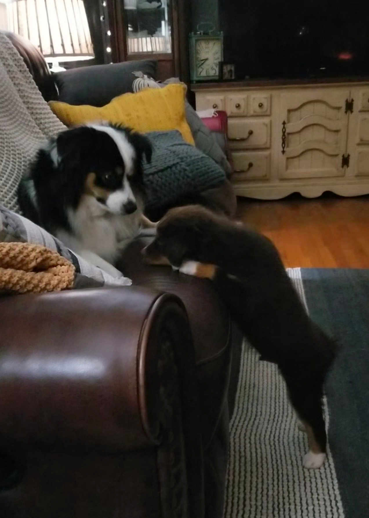 Deliah And Maverick